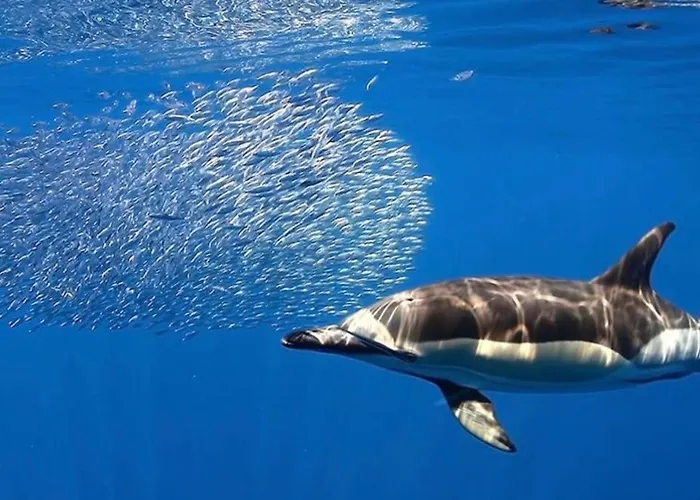 Precioso En Residencial Con Piscina - Ocean And Pool View Poris Poris de Abona